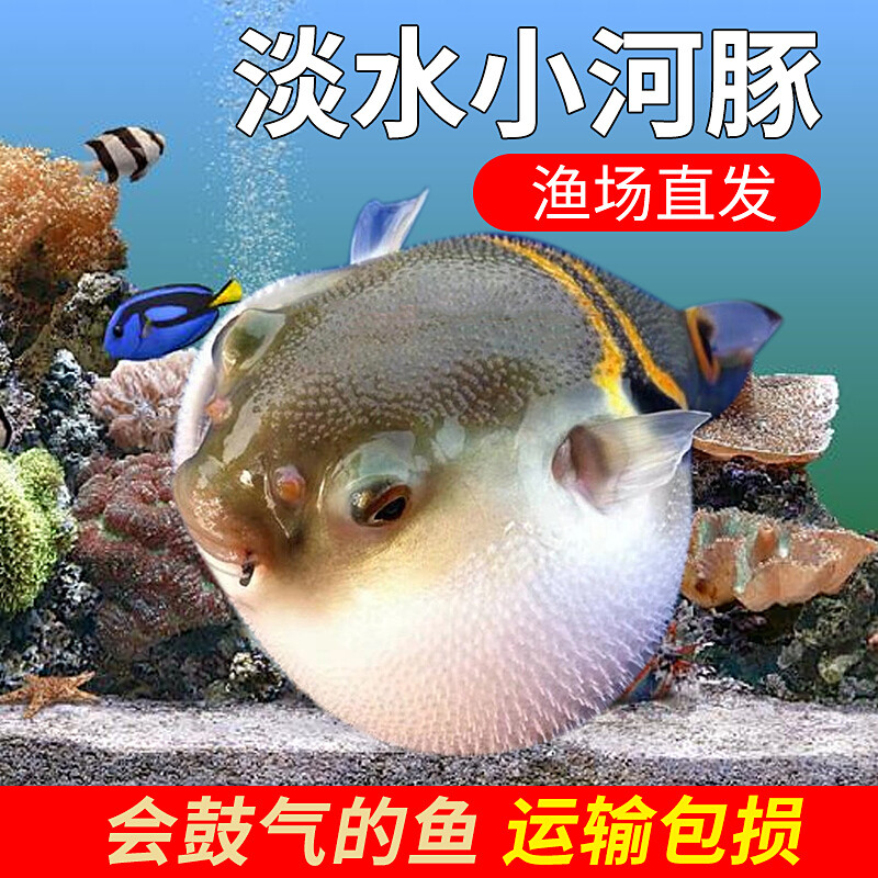 ˮͧ~Ě