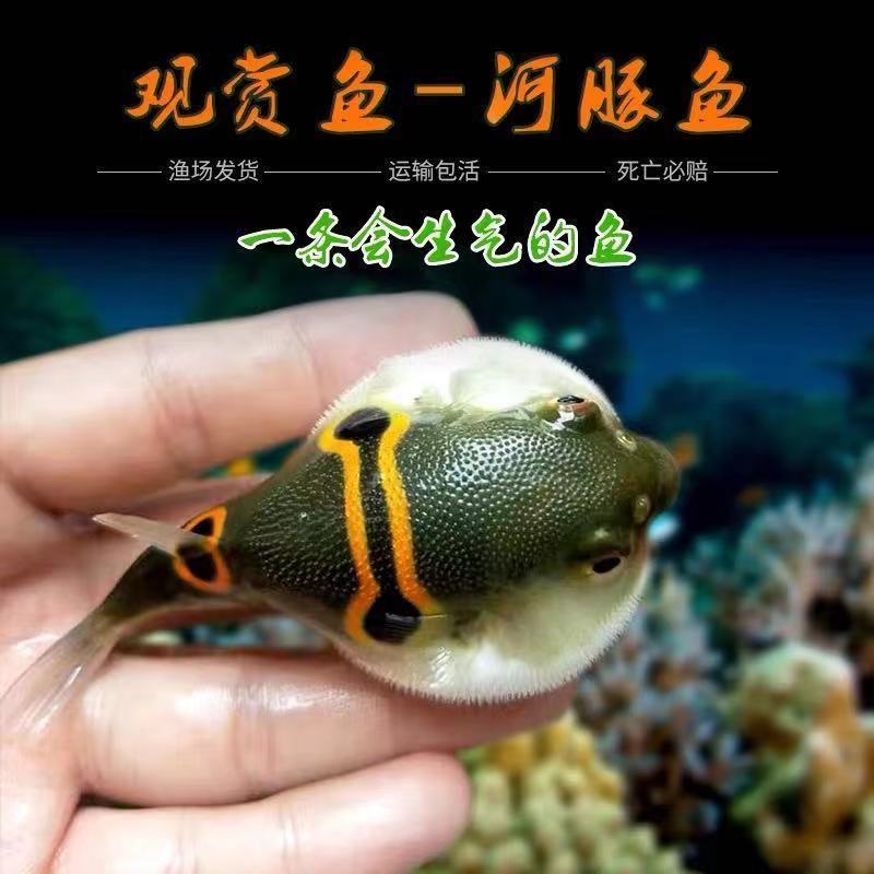 ô׌ˮͧ~Ě һ~ʲô